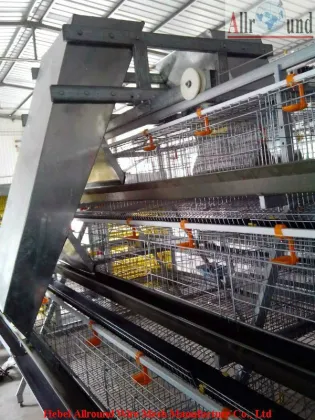 Chicken raising equipment automatic for Broiler  