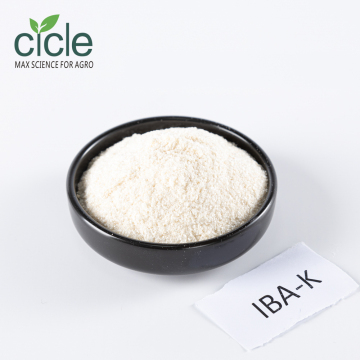 Precision-Formulated Potassium IBA-k for Rooting Efficiency
