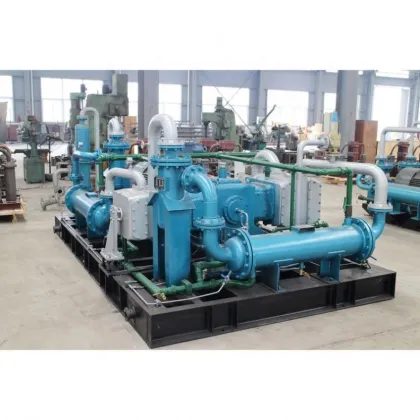 Affordable Advanced Technology: Biogas Refrigerator Compressors