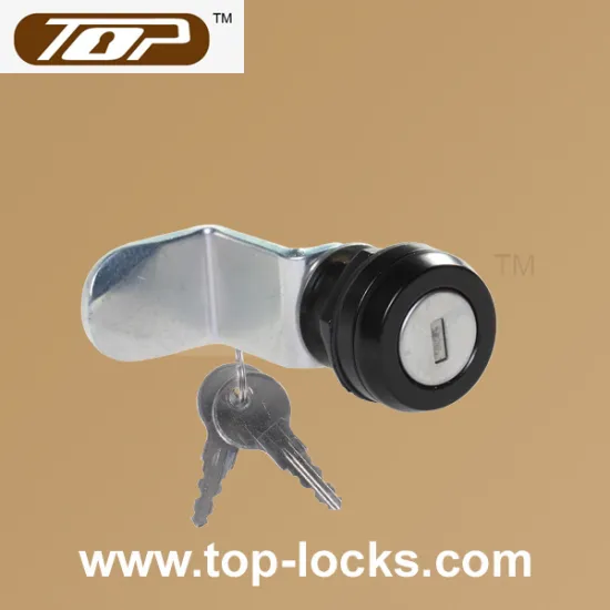 disc tumbler brake pedal lock