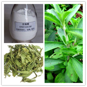 Natural Sweetener Stevia Extract Powder Stevioside