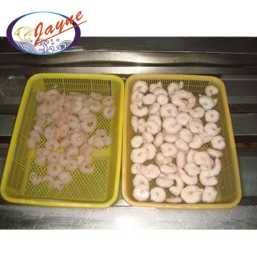 Frozen Vannamei Shrimp White Prawns Meat Peeled Pd Vannamei Shrimp Price