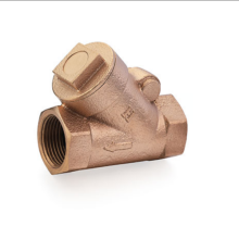 Bronze Y-Type Check Valve