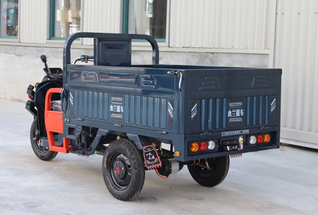 Manned Electric Tricycle