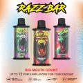 Germany Warehouse Razz Bar 15000 Puffs Disposable Vape