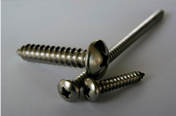 SS screws pan head with high tensile strength made in China