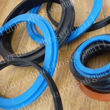 Turcon Variseal M2 Special Seal