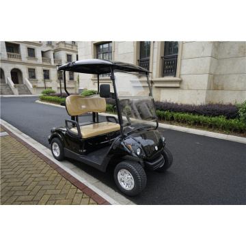 battery or gas powered two seater golf car