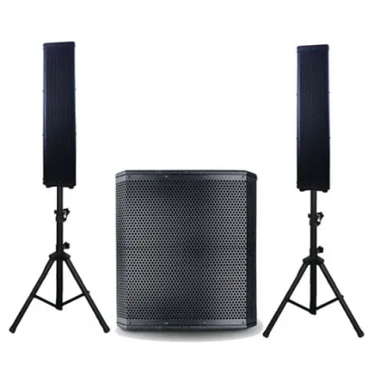 Multifunctional High Power Beautiful Professional Speaker
