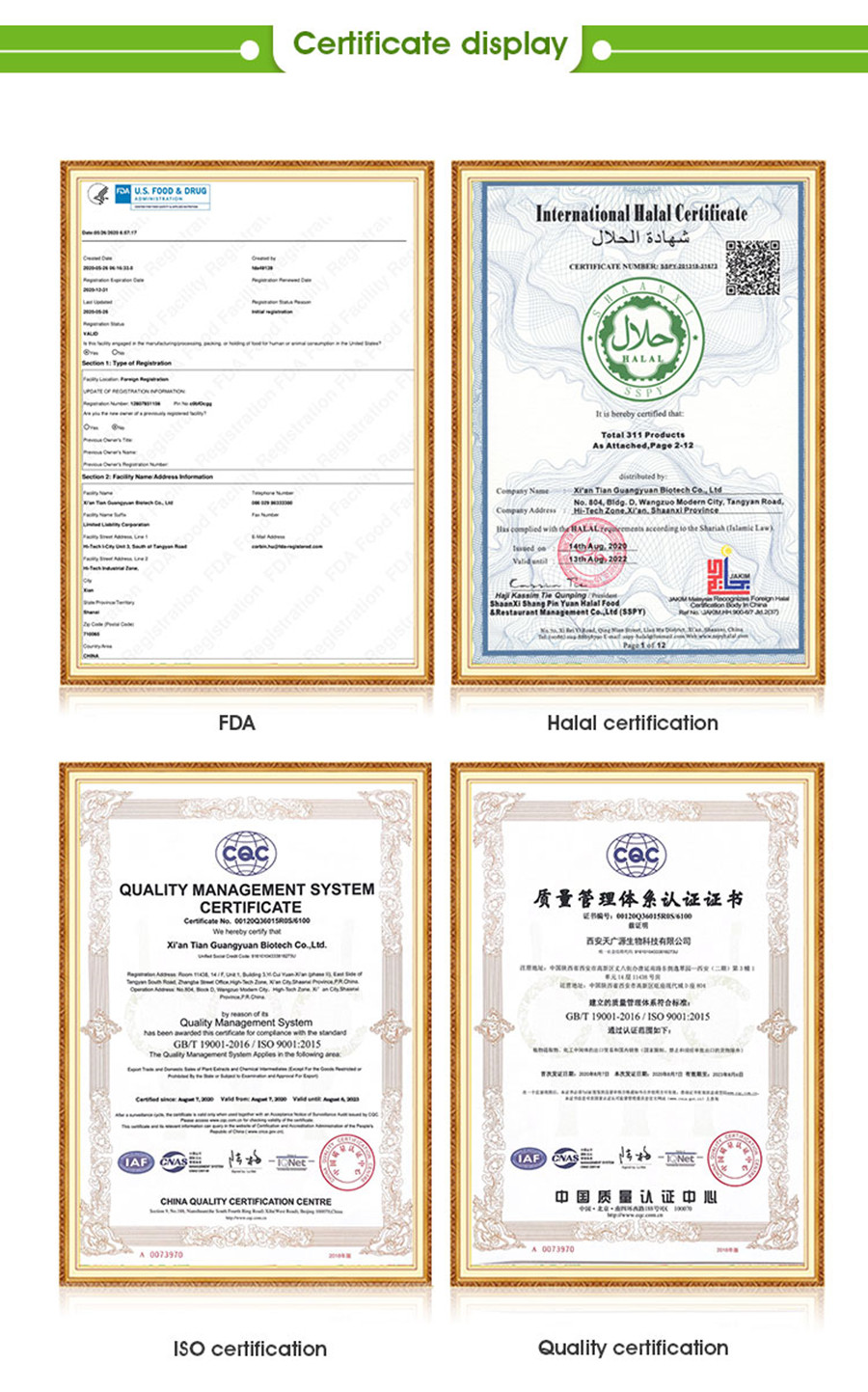 S-Adenosyl-L-methionine powder