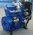 Weifang 50hp Dieselmotor 495ZD für generator