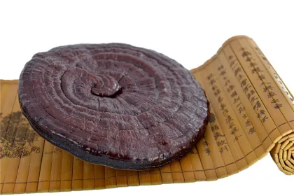 raw materials supplements ganoderma lucidum red mushroom