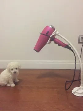 Dogs cats Pets Hair Drier Holder hands free stands for hair blow 2015 new product