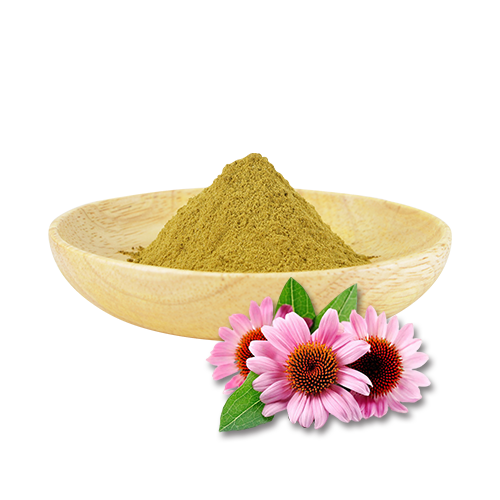 Polifenóis Echinacea Purpurea Root Extract Powder Powder