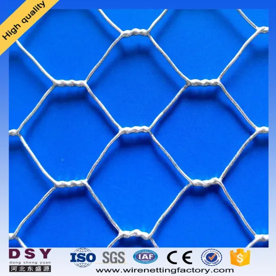 Diamond Hexagonal Wire Mesh