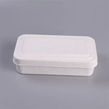 Paper Pulp Molded Underwear Package Box
