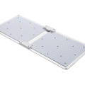 Two-head quantum board for plant growth lamp PD-L02