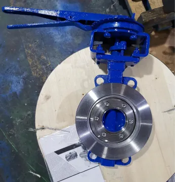 6" 150LB WCB Eccentric Butterfly Valve