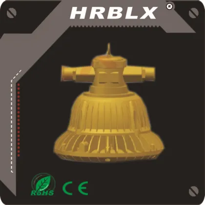Energy saving high quanlity Mining Explosion-proof LED roadway lights