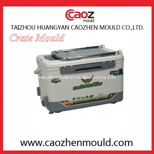 Popular Selling Plastic Fish Crate Mould in Huangyan