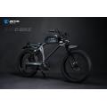 Electric bike 1000W e motorbike