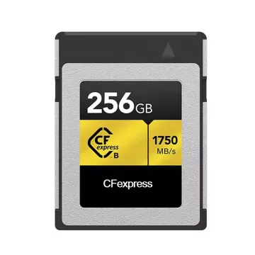 VPG200 CFexpress Type B Memory Card - 512GB/256GB/128GB, Read Speed Up to 1750MB/s, Gold Series for Cameras