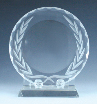 CC310 glass plate