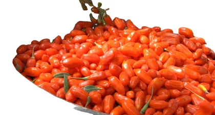 Organic Goji Berry Fruit