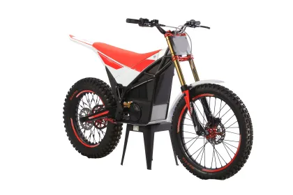 Arctic Leopard E XT560: High Power Off-road Electric Motorcycle