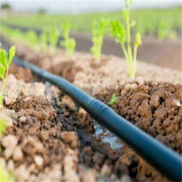 16 Drip Irrigation Pipe Irrigation Special Tube