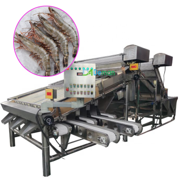 Classifier van zeevruchtengrootte: garnalen- en sardine -beoordelingsmachines