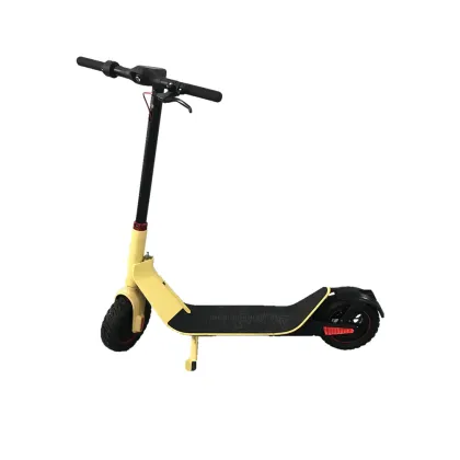 Electric Widewheel Off Road Scooter
