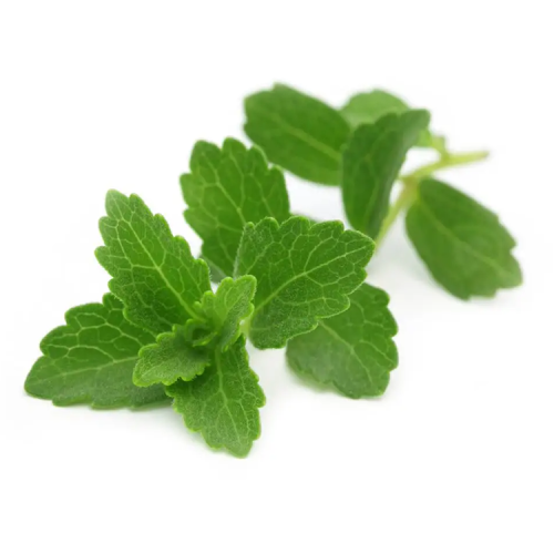 Stevia Leaf Extract Stevia Rebaudiana 98%