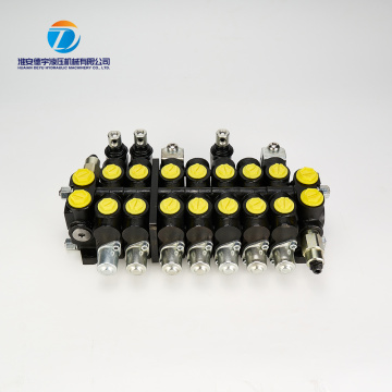 Vanne de commande directionnelle sectionnelle à double pompe CDB