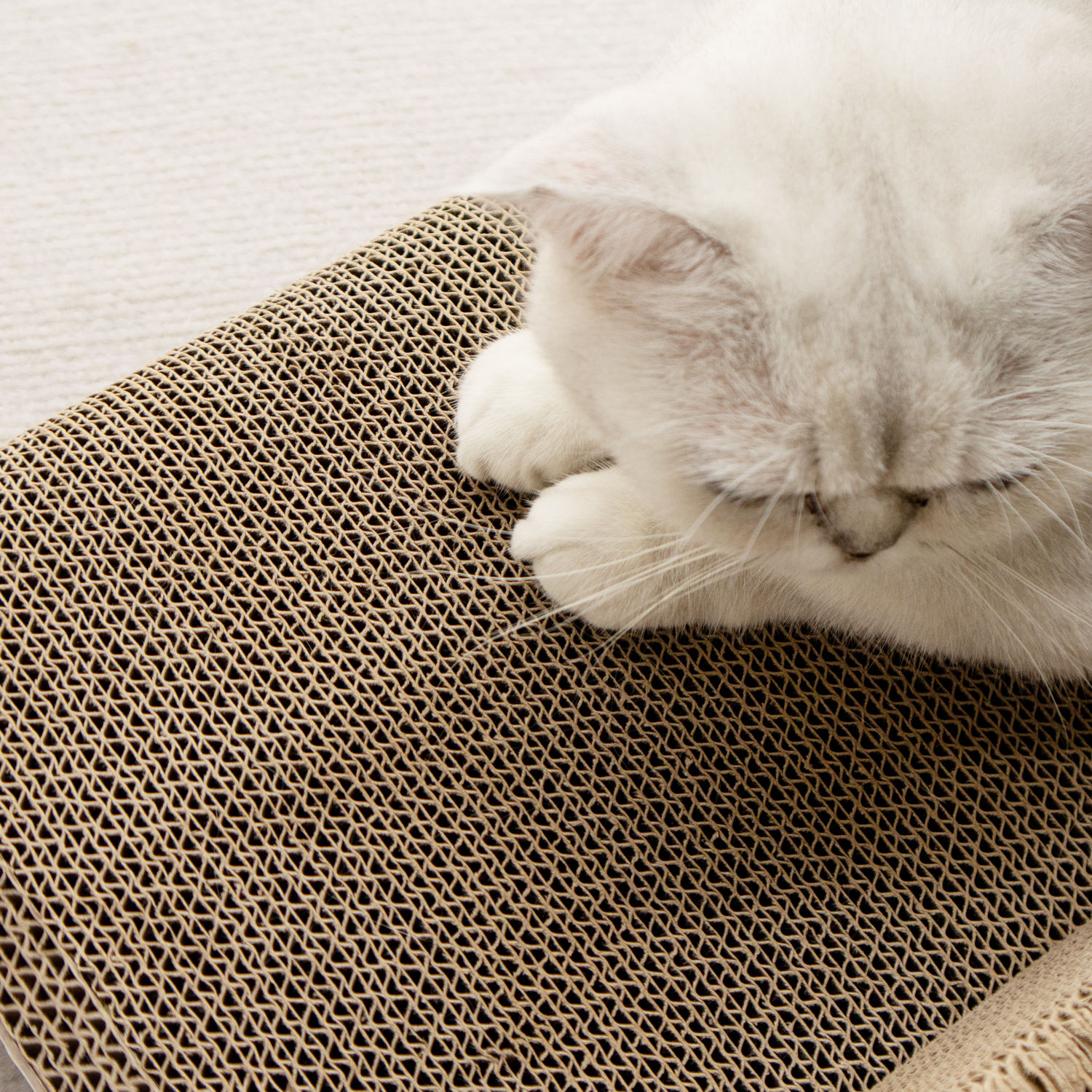 cat scratcher