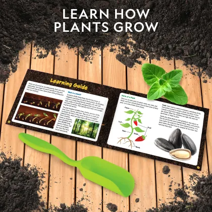 National Geographic Kids Herb Growing Kit: DIY Garden Set with Paint and Stickers