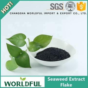 Worldful Kelp Source Organic Fertilizer Seaweed Fertilizer Flake