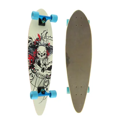 Skating Street Surfing Board Long Skate Board