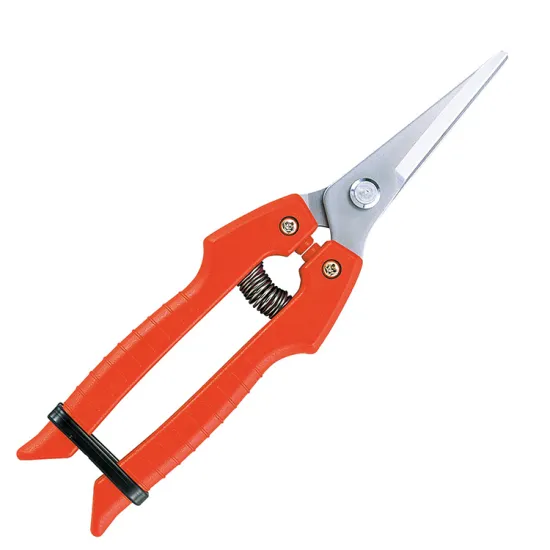 Professional Garden Clippers: Ideal Tools for Harvesting Fruits and Vegetables
