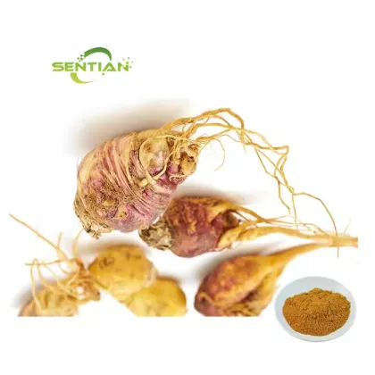Maca Root Extract Maca Powder