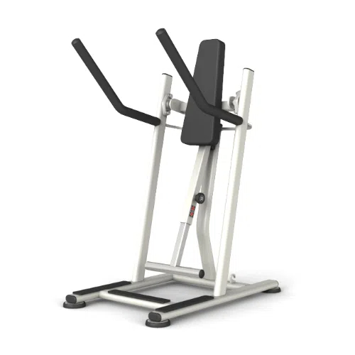 Vertical Moving Leg Raise