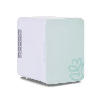 4L Mini Fridge Car Portable Cosmetic Skincare Frezzer