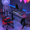 Gamer Computer Desk Racing Desk