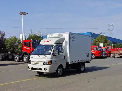 Advanced Freezer Refrigerated Cold Chain Truck