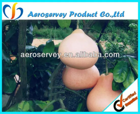 good taste pomelo grapefruit