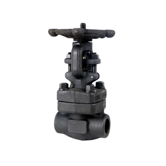 Taike Valve China Factory  A105 Forged Steel Stainless Steel Cast Iron SW BW NPT Thread Globe Valve