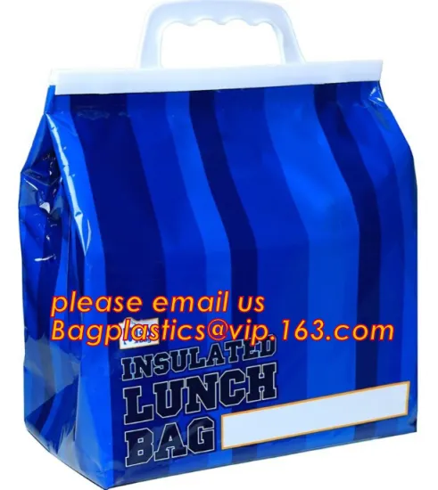 Thermal disposabl insulated freezer shopping pizza delivery cooler bag food bags with own logo, Disposable pizza delivery cooler