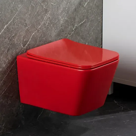 Round Wall-Mounted Ceramic Toilet Bowl