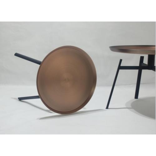 Minimalist Metal Replica Husk Around Coffee Side Table