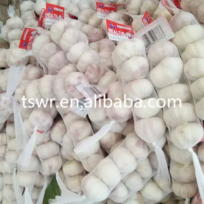food grade china fresh garlic